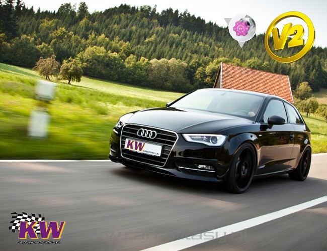 Schroefset KW V2 inox VW Vento 1HX0 1.6 09/1991-