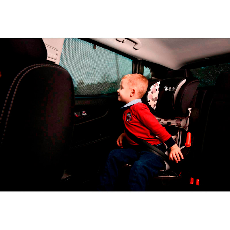 Set Car Shades (achterportieren)  Skoda Octavia IV (NX5) Kombi 2020- (2-delig)