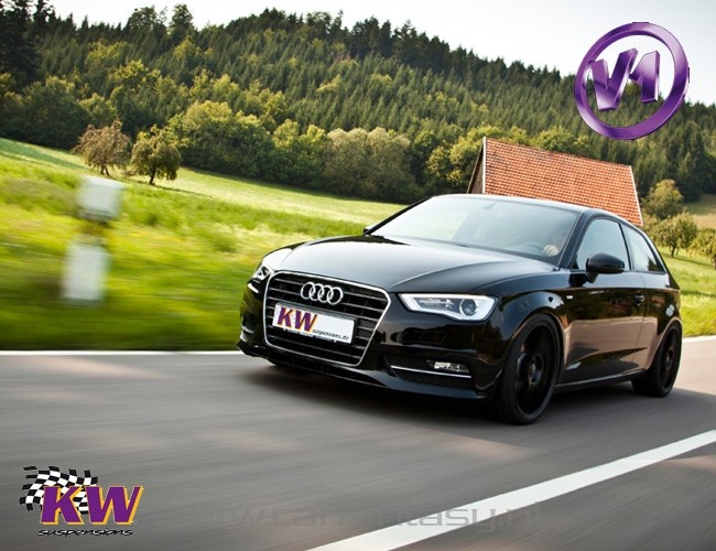 Schroefset KW V1 inox Alfa 145 930 1.9 TD 06/1994-01/2001