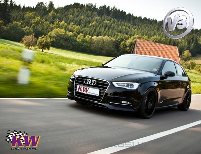 Schroefset KW V3 inox VW Caddy Maxi 2K CADDY;CADDY LIFE 12/2007-