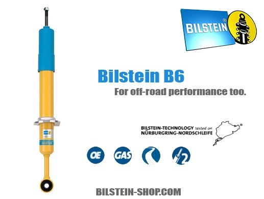 Bilstein Porsche Cayenne (955) Turbo 4.5 Achter B6 Offroad Schok